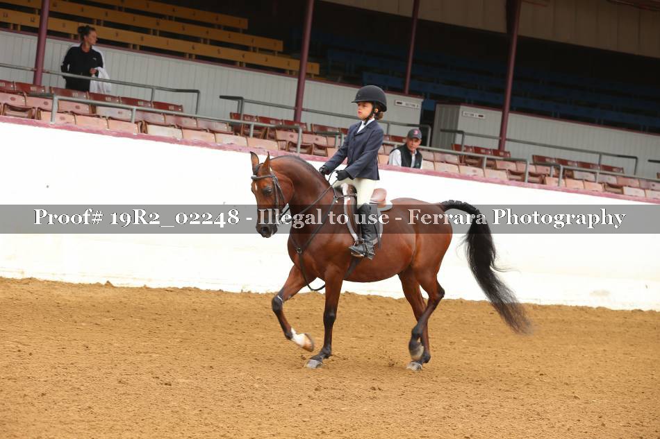 Proof 19R2_02248