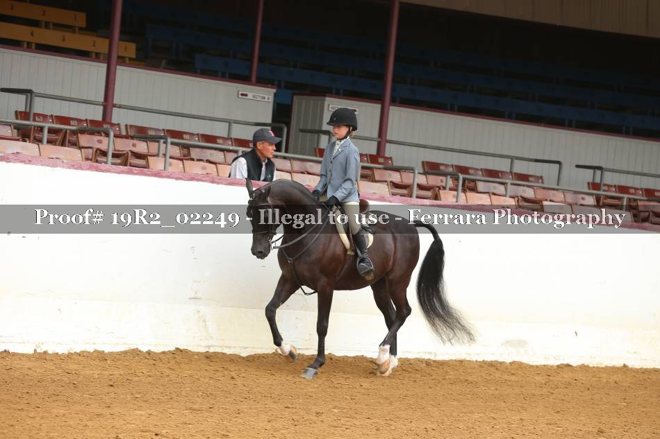 Proof 19R2_02249