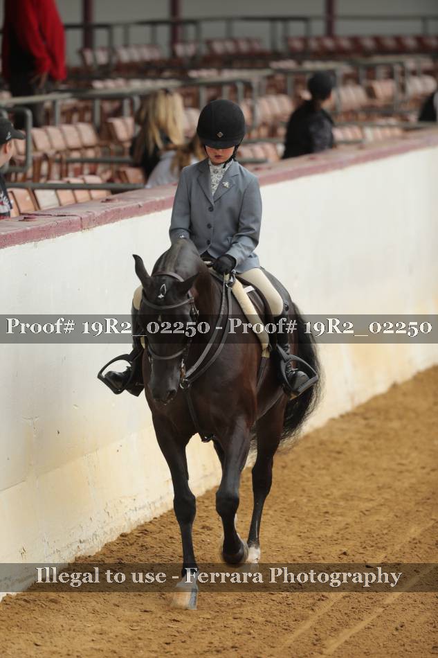 Proof 19R2_02250