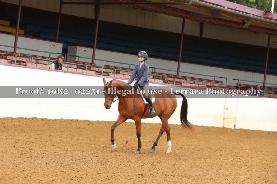 Proof 19R2_02251