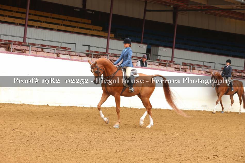Proof 19R2_02252
