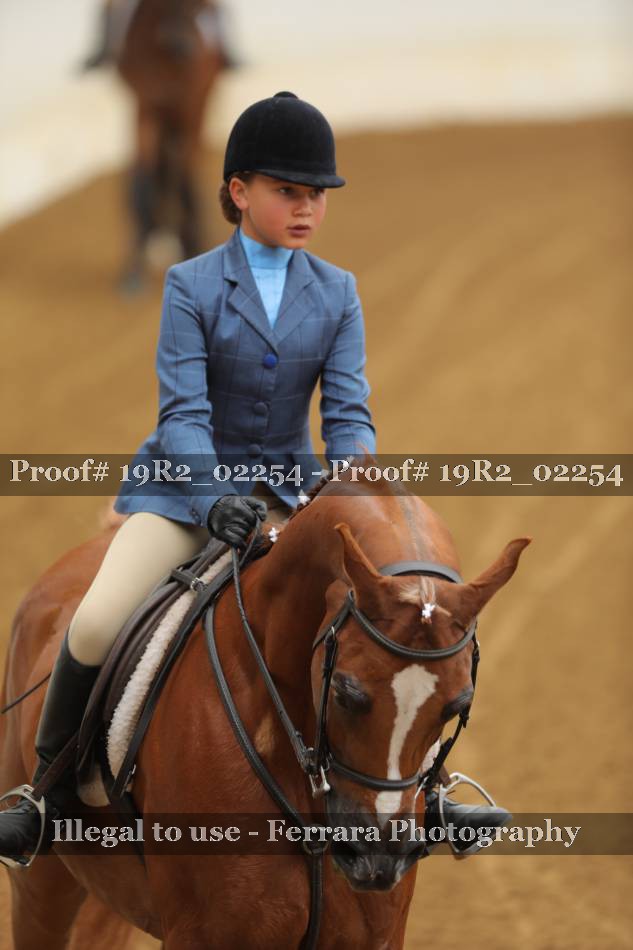 Proof 19R2_02254