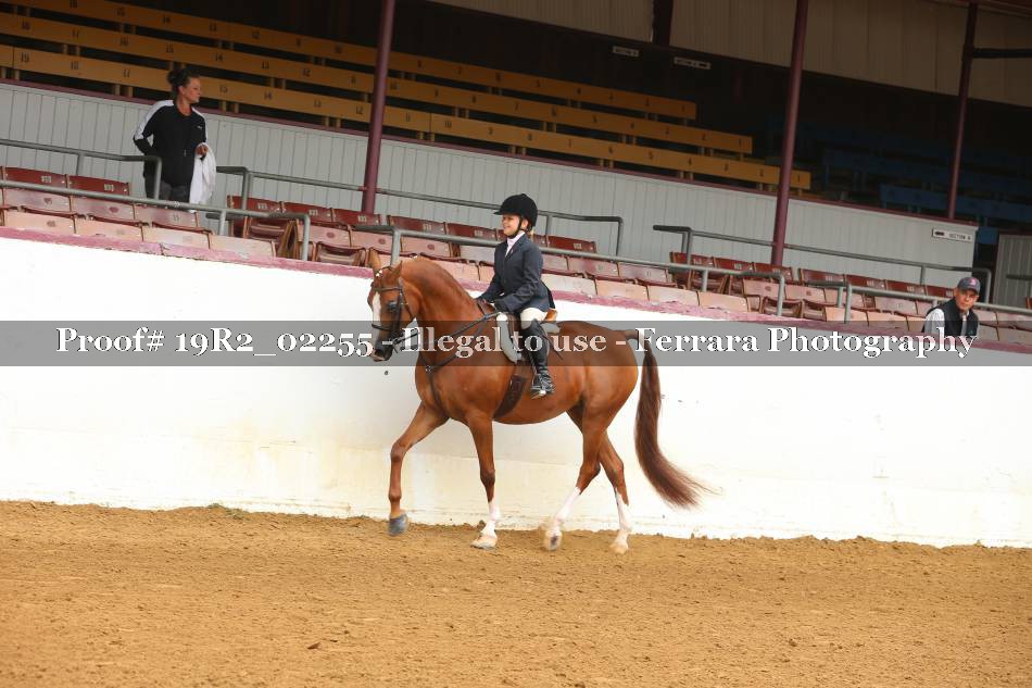 Proof 19R2_02255