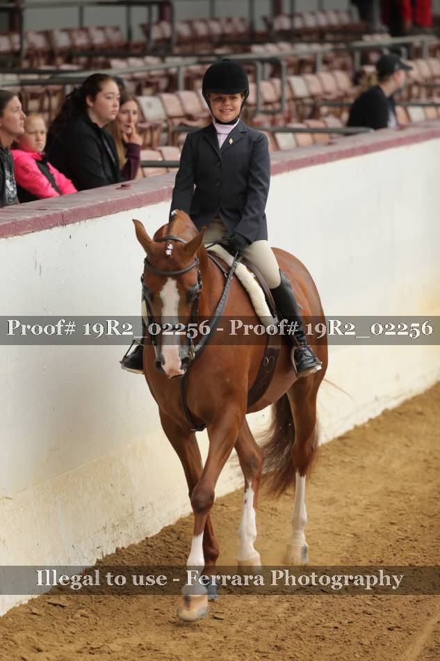 Proof 19R2_02256
