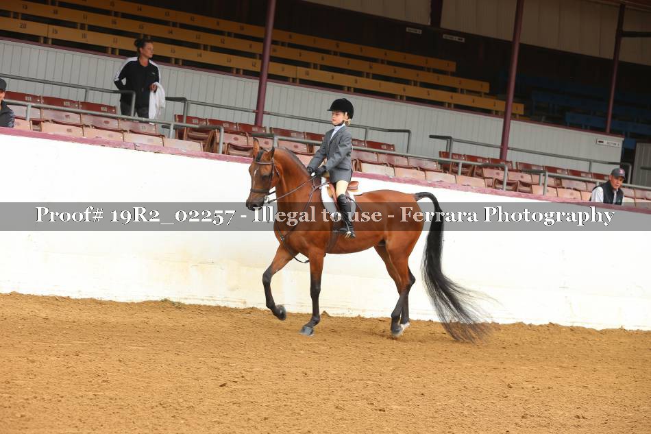 Proof 19R2_02257