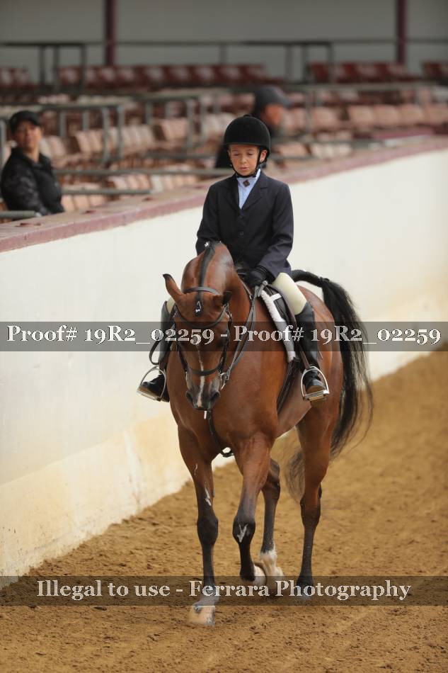 Proof 19R2_02259