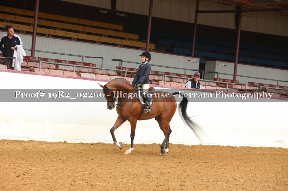 Proof 19R2_02260