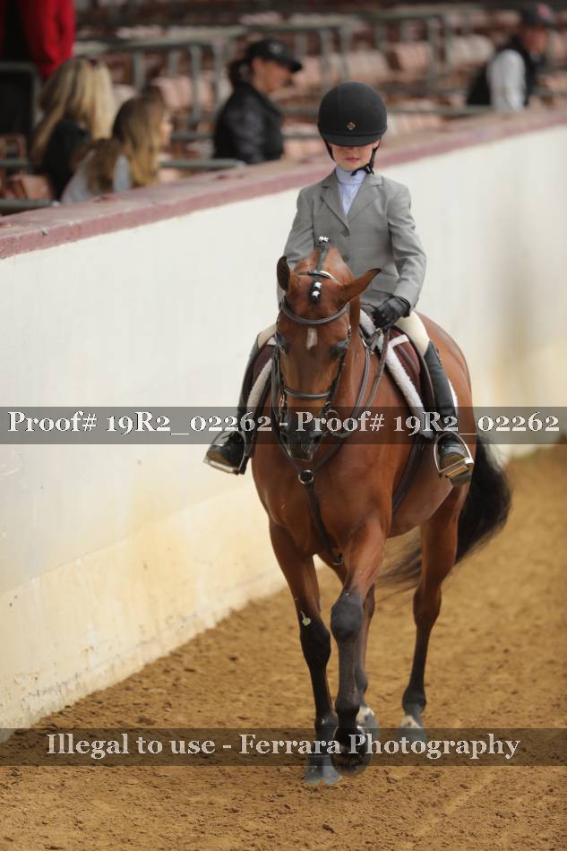 Proof 19R2_02262