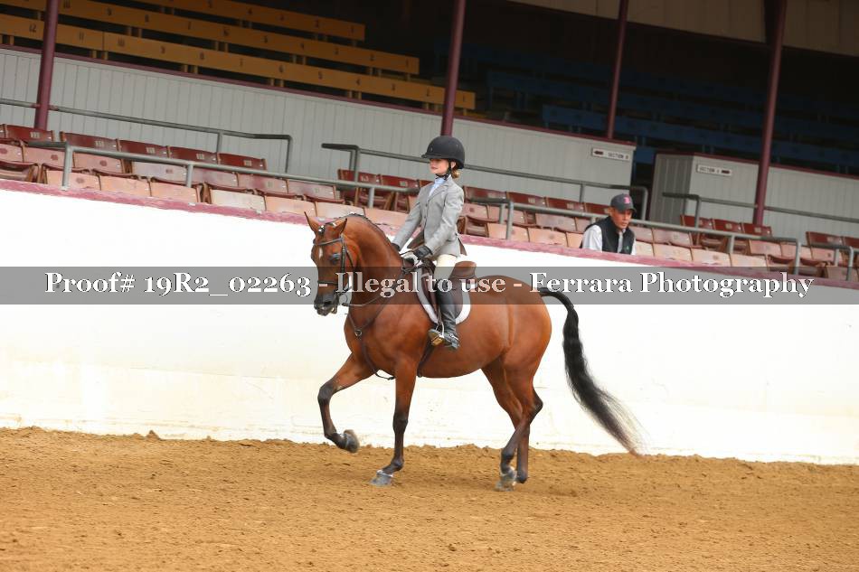 Proof 19R2_02263