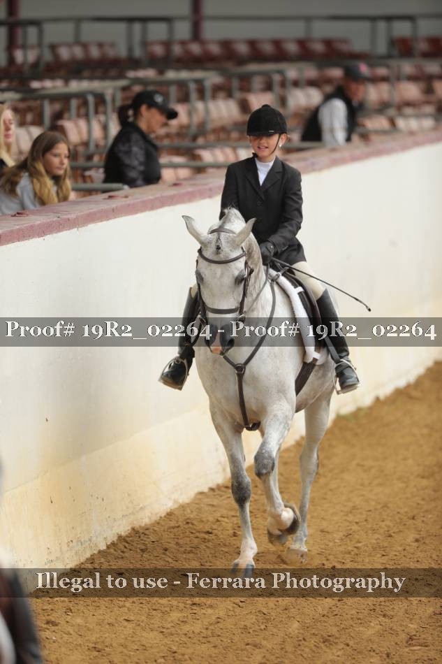 Proof 19R2_02264