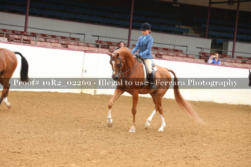 Proof 19R2_02269