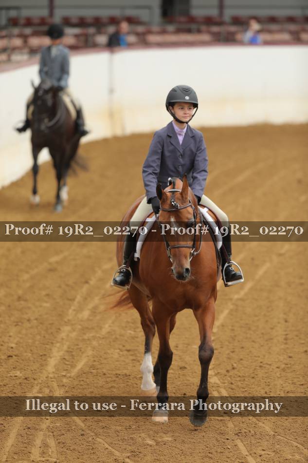 Proof 19R2_02270