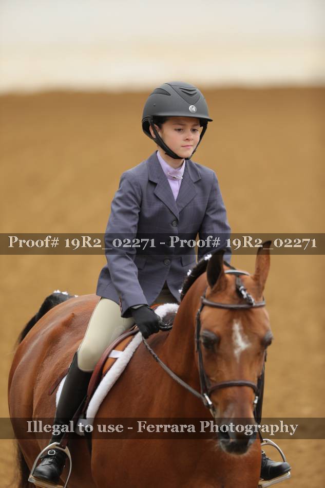 Proof 19R2_02271