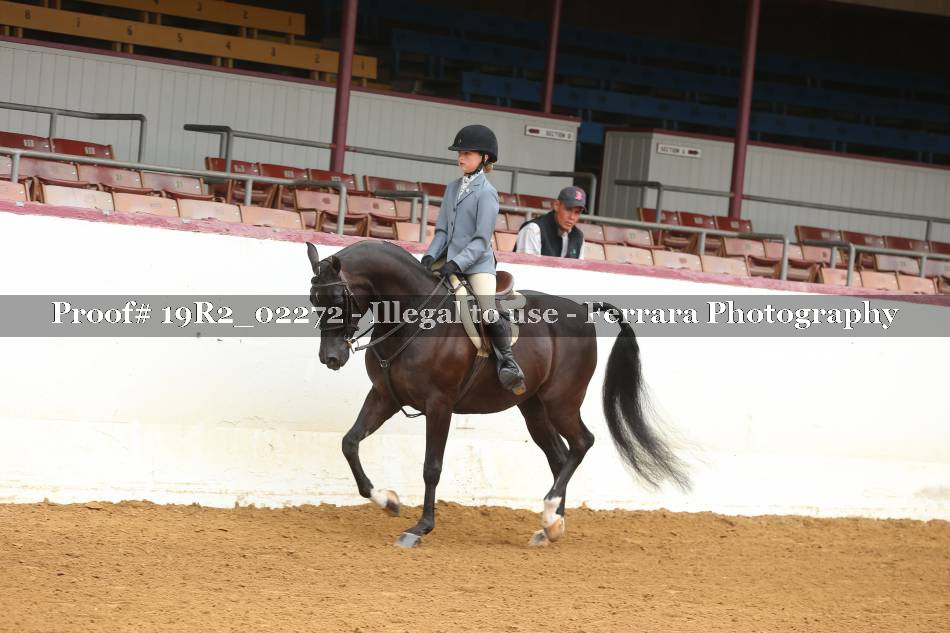 Proof 19R2_02272