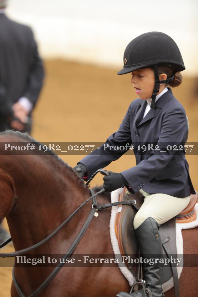 Proof 19R2_02277