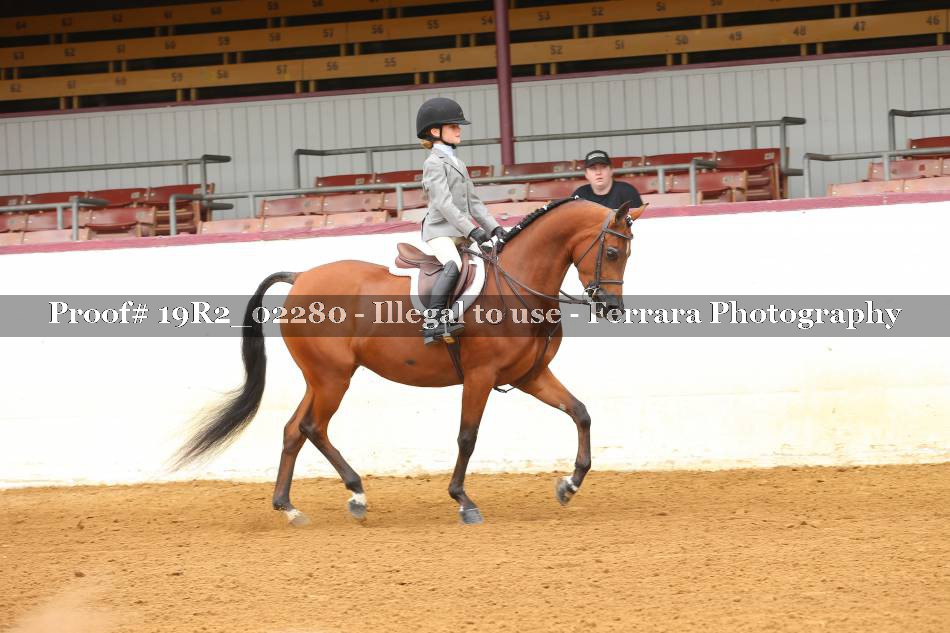 Proof 19R2_02280
