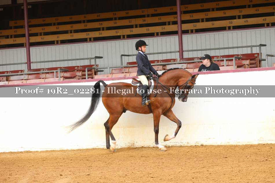 Proof 19R2_02281