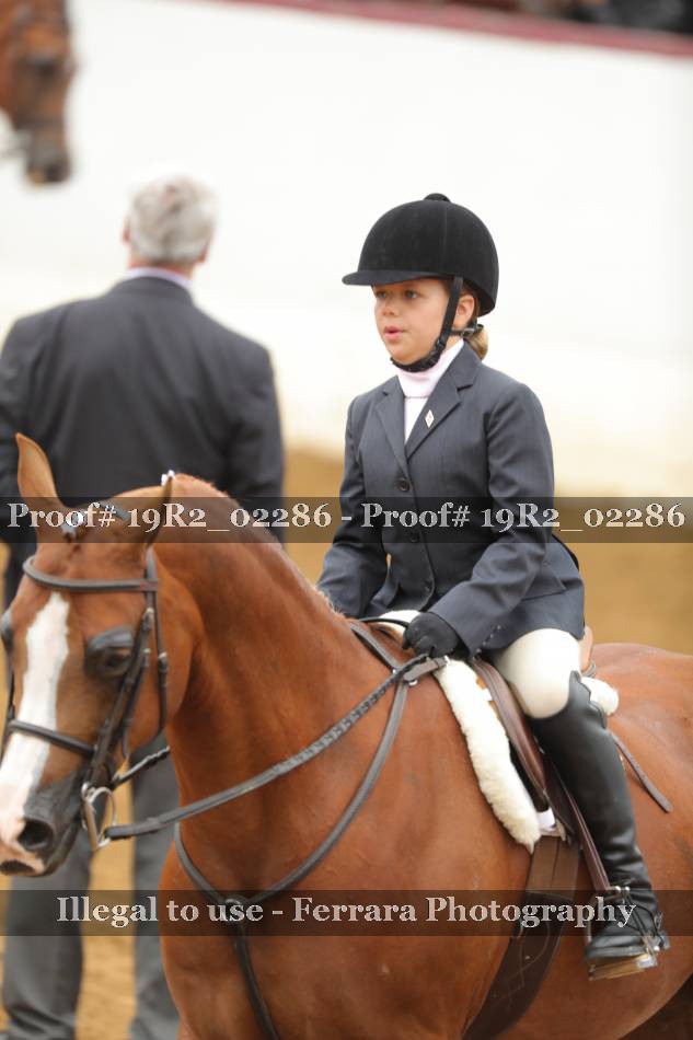 Proof 19R2_02286