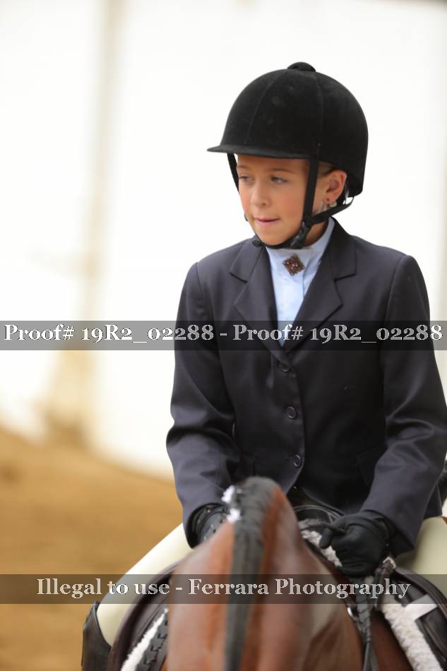 Proof 19R2_02288