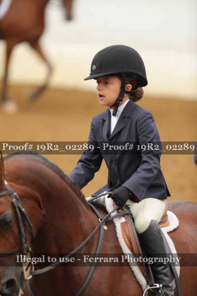 Proof 19R2_02289