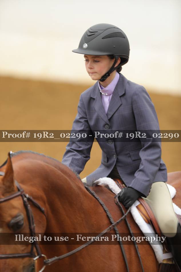 Proof 19R2_02290