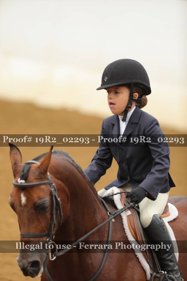Proof 19R2_02293