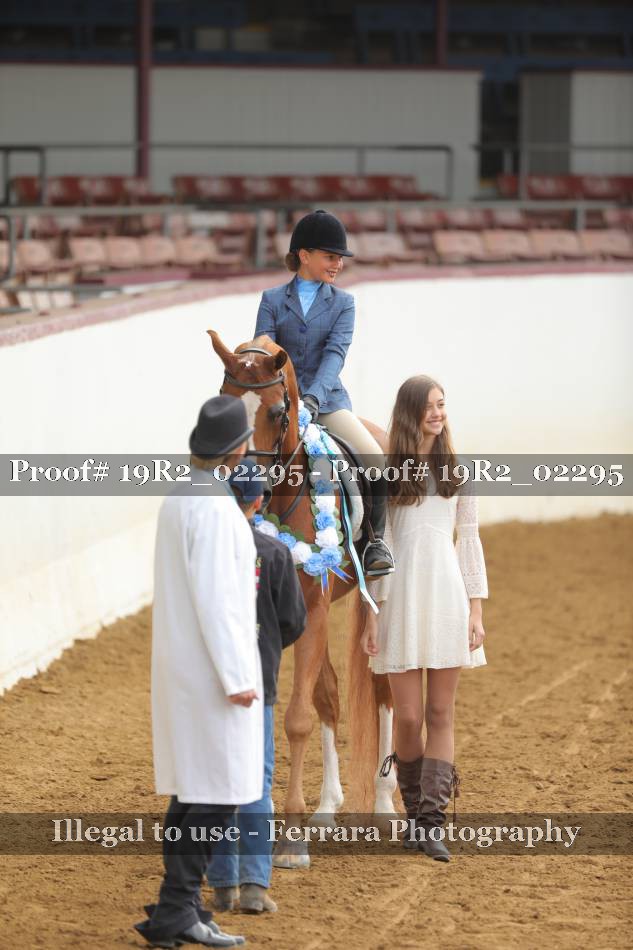 Proof 19R2_02295