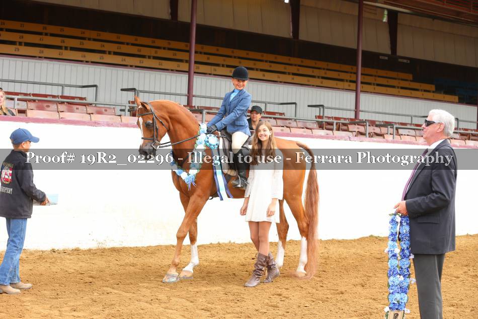 Proof 19R2_02296