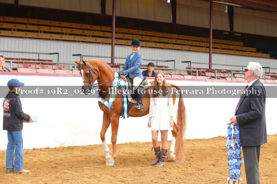 Proof 19R2_02297