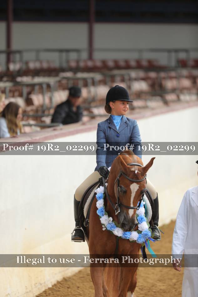 Proof 19R2_02299