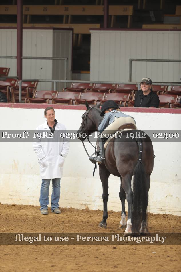 Proof 19R2_02300