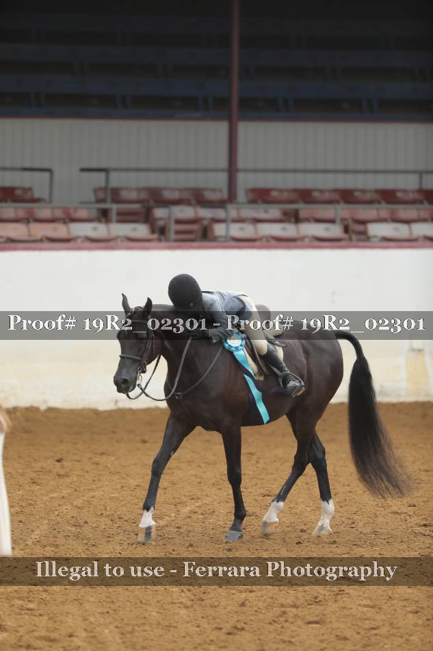 Proof 19R2_02301