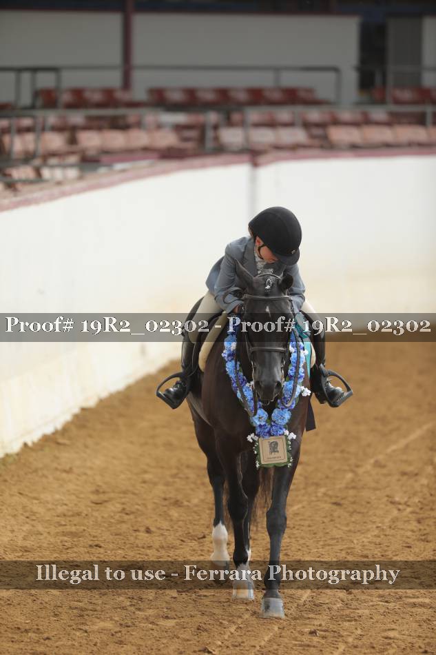 Proof 19R2_02302