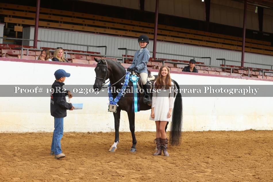 Proof 19R2_02303