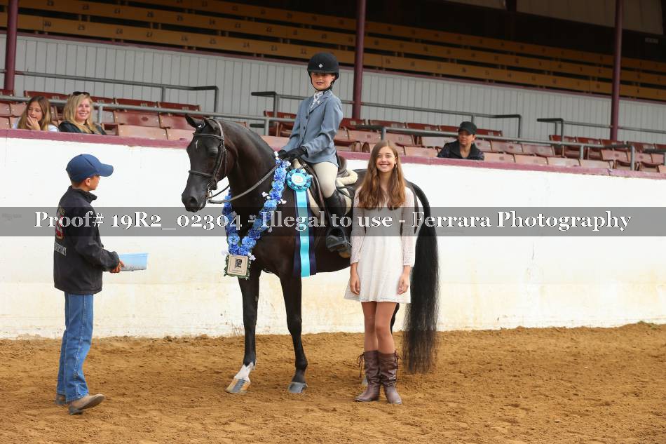 Proof 19R2_02304
