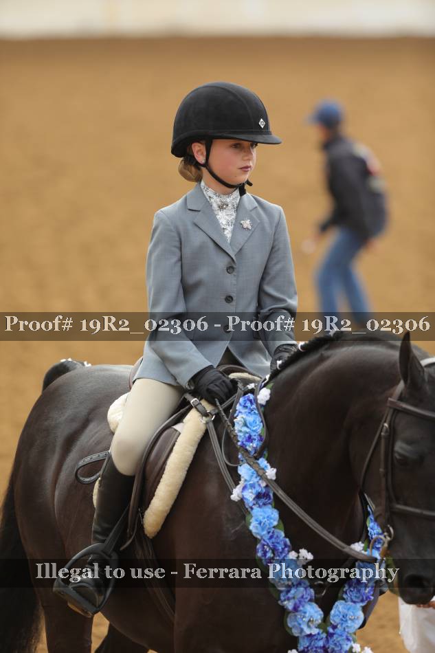 Proof 19R2_02306