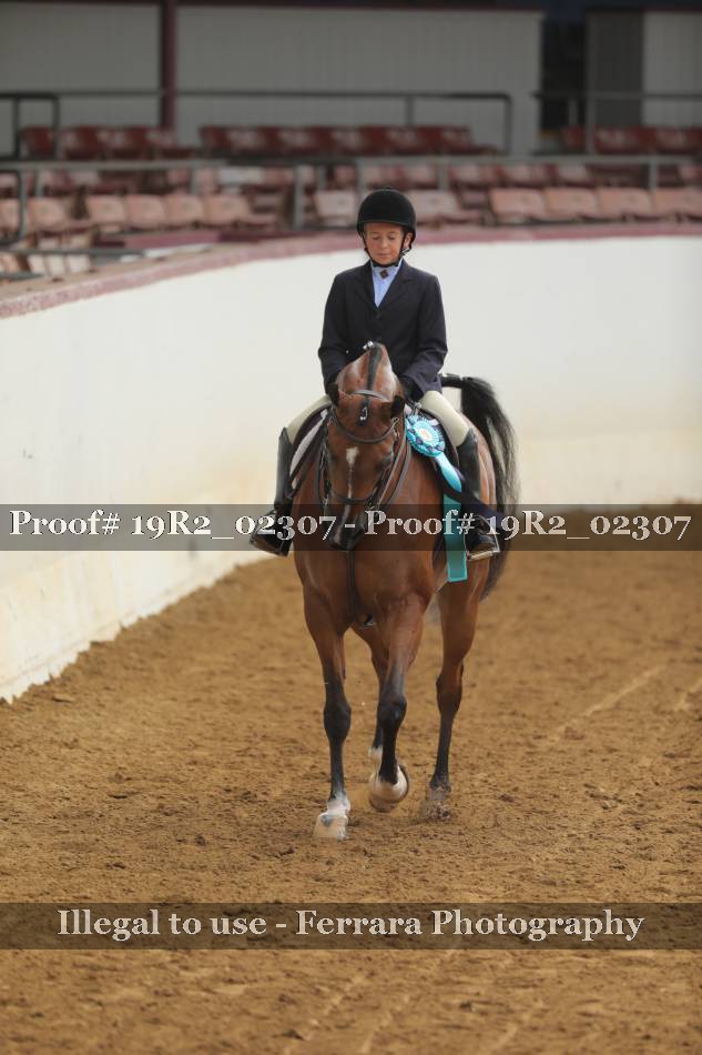 Proof 19R2_02307