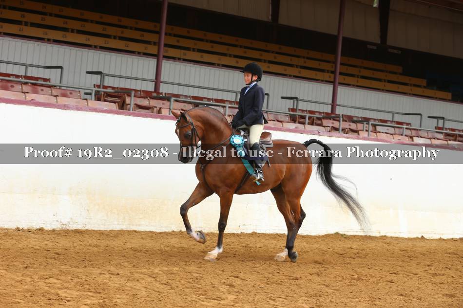Proof 19R2_02308
