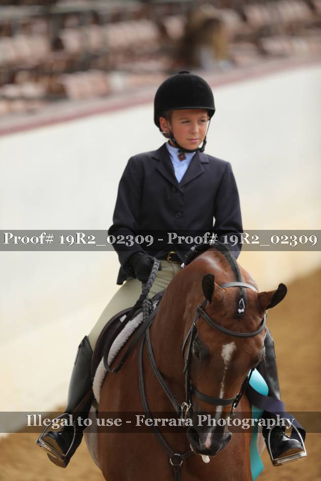 Proof 19R2_02309