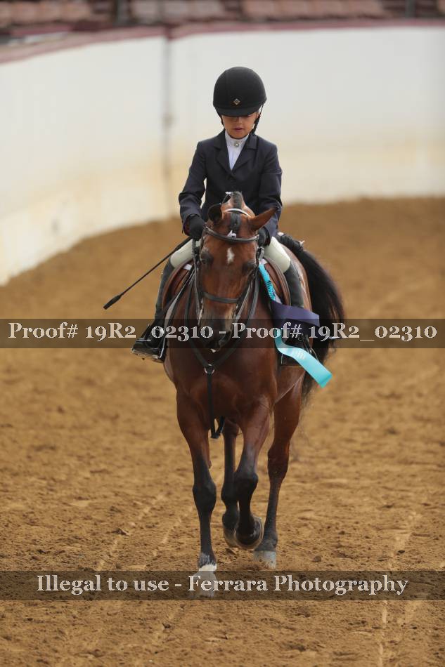 Proof 19R2_02310