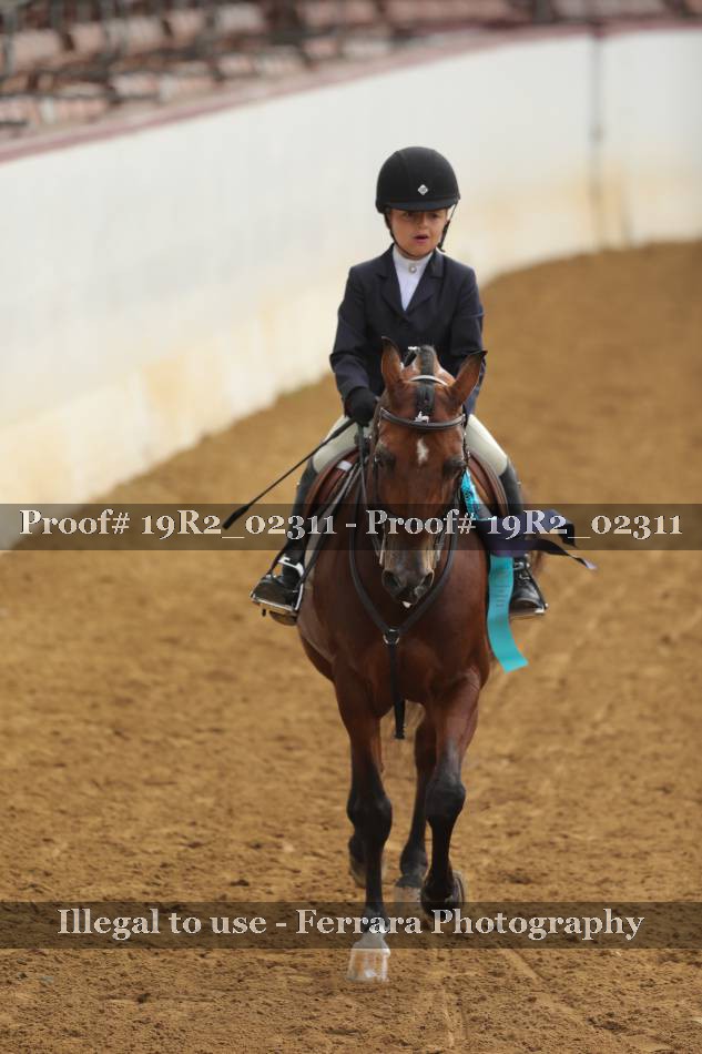 Proof 19R2_02311