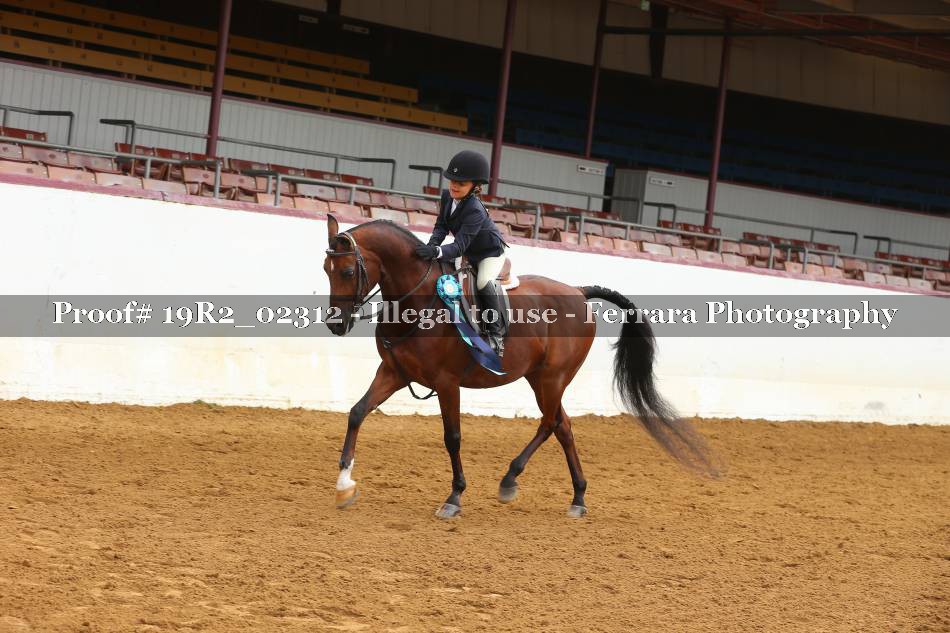 Proof 19R2_02312