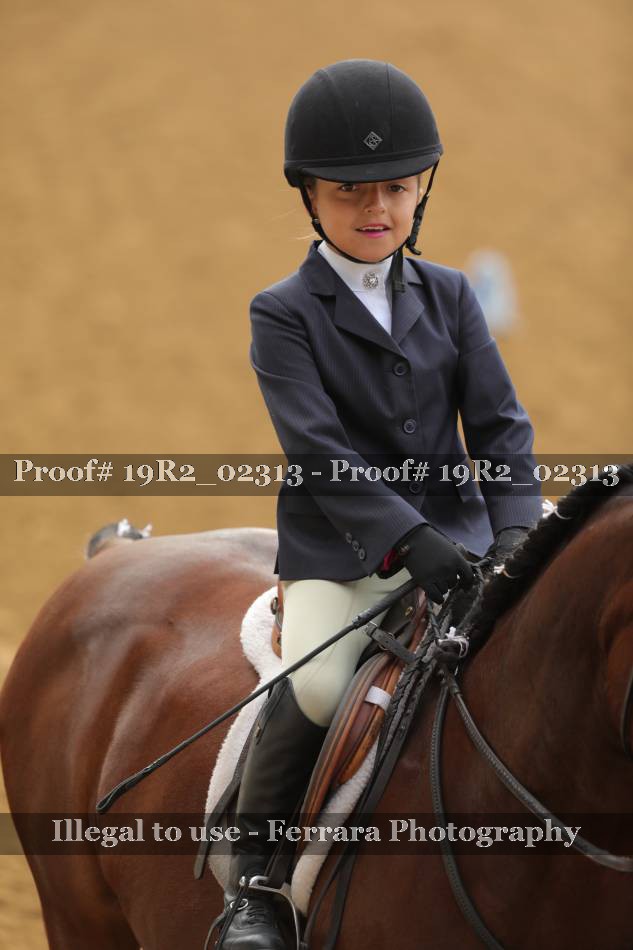 Proof 19R2_02313