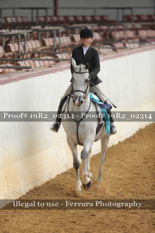 Proof 19R2_02314