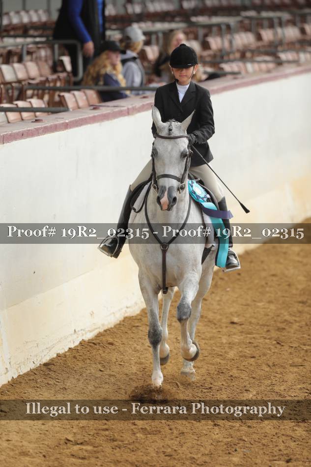 Proof 19R2_02315