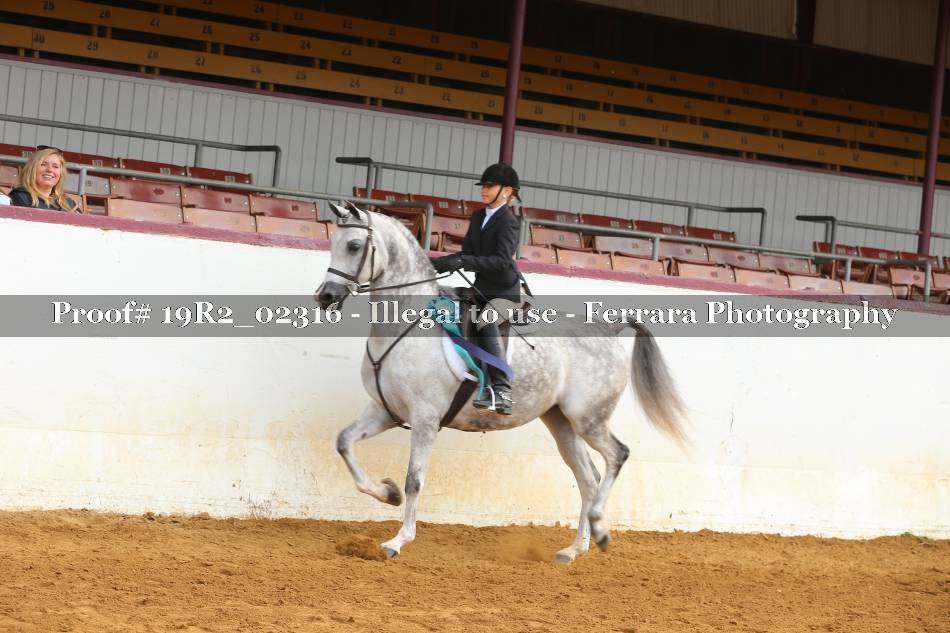 Proof 19R2_02316