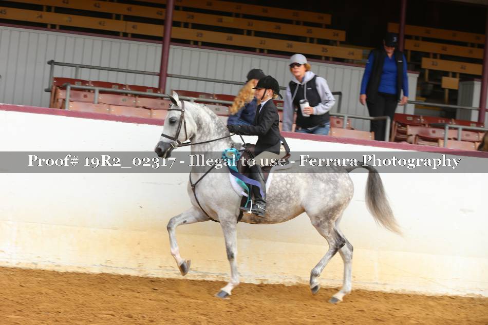 Proof 19R2_02317
