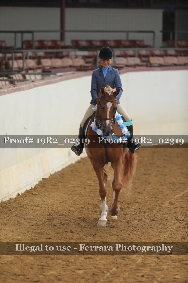 Proof 19R2_02319