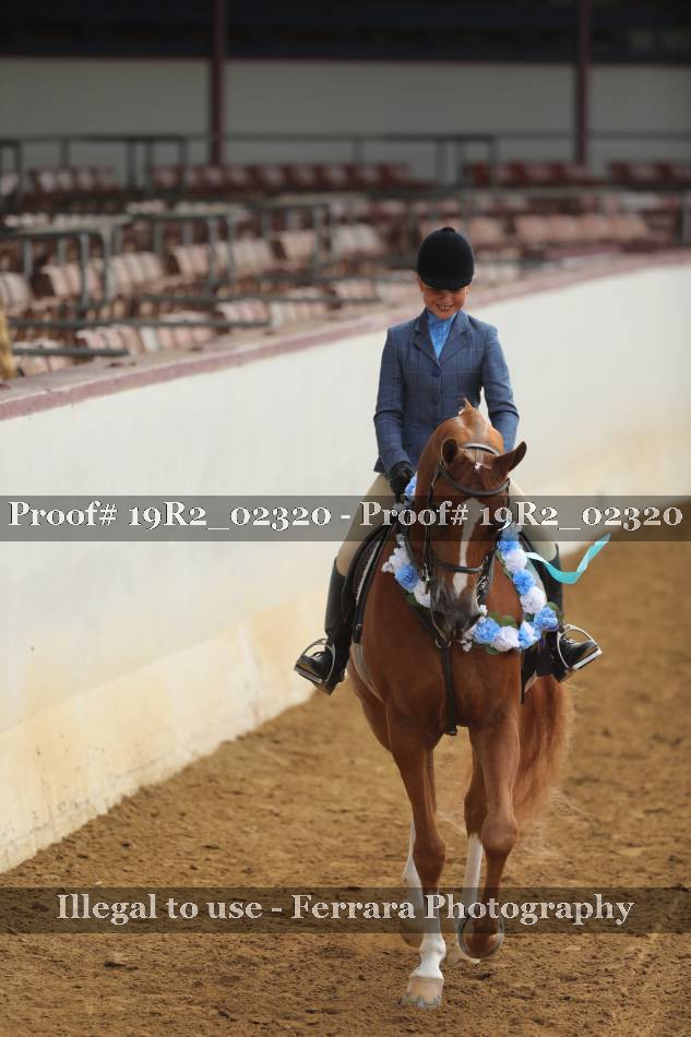Proof 19R2_02320