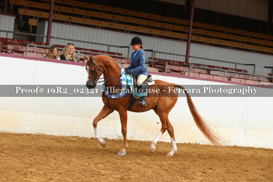 Proof 19R2_02321